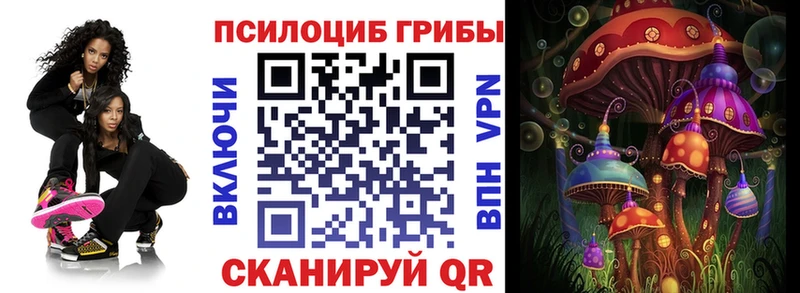 закладка Фрязино Псилоцибиновые грибы MAGIC MUSHROOMS
